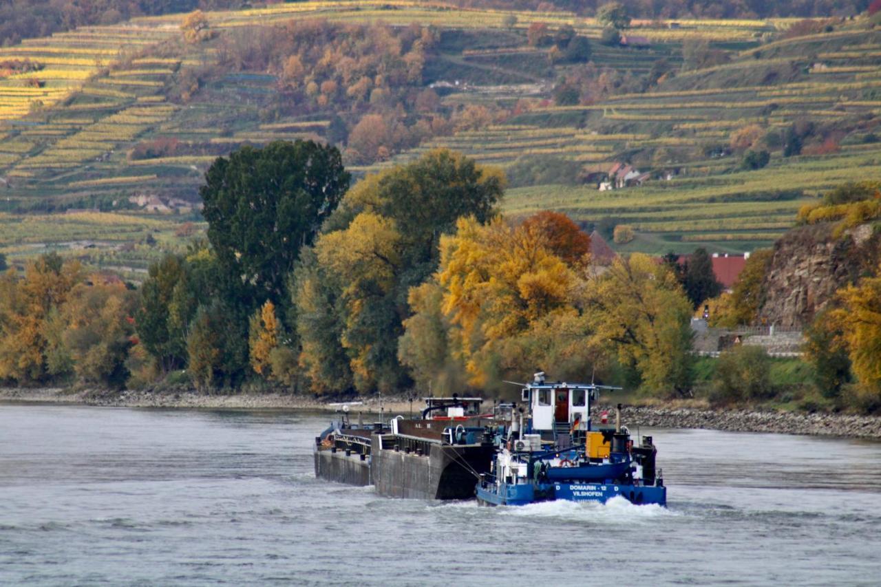 Appartamento Haus-Donau In Der Wachau Aggsbach Esterno foto