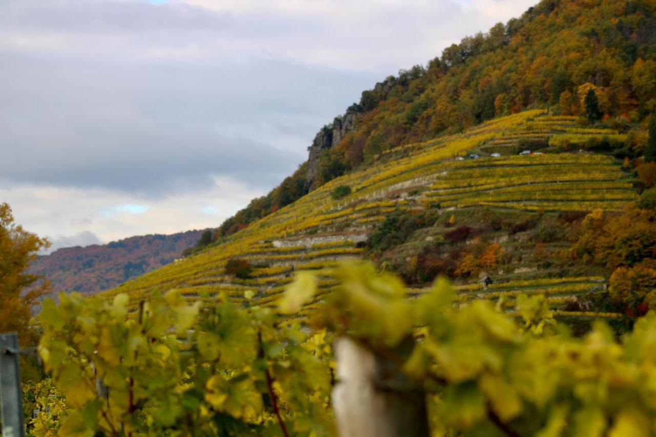 Appartamento Haus-Donau In Der Wachau Aggsbach Esterno foto