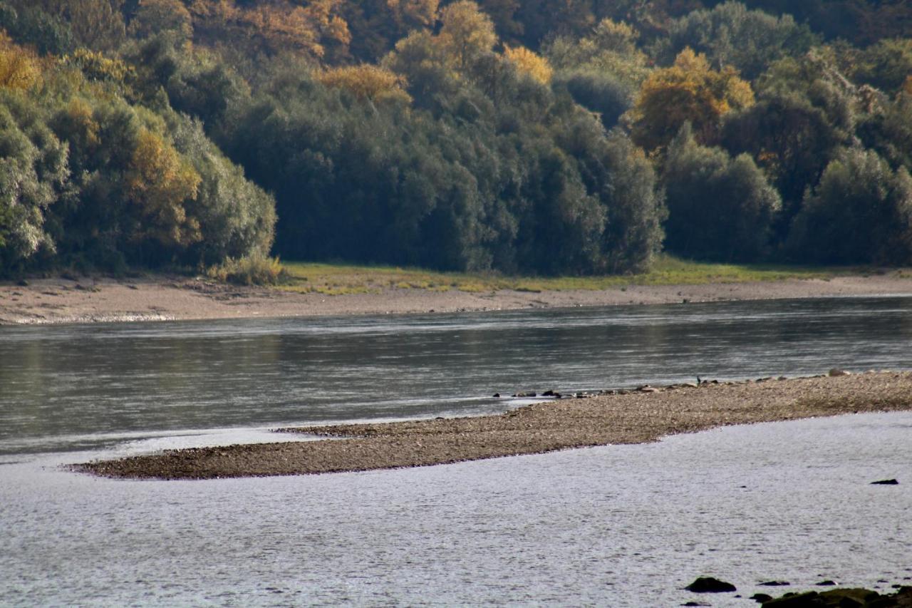 Appartamento Haus-Donau In Der Wachau Aggsbach Esterno foto