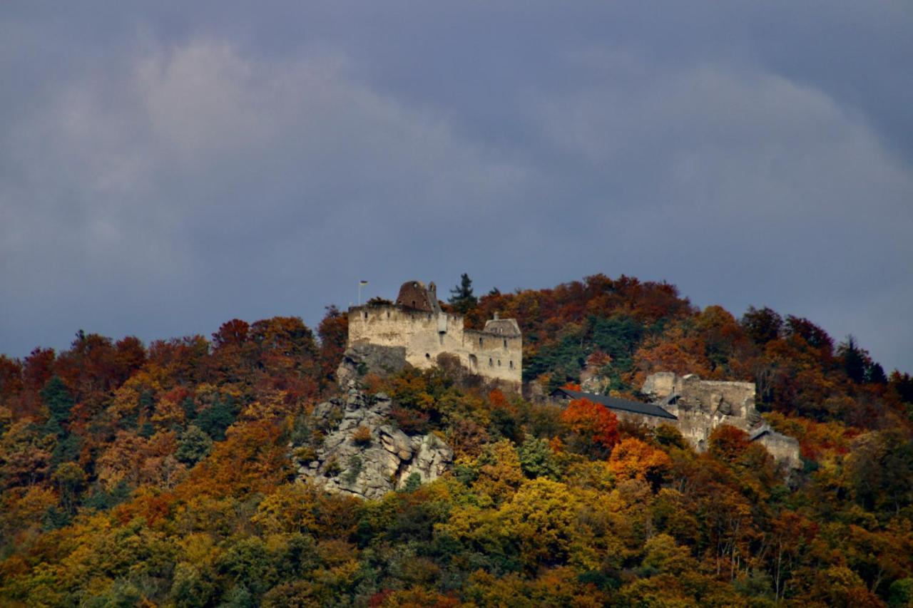 Appartamento Haus-Donau In Der Wachau Aggsbach Esterno foto