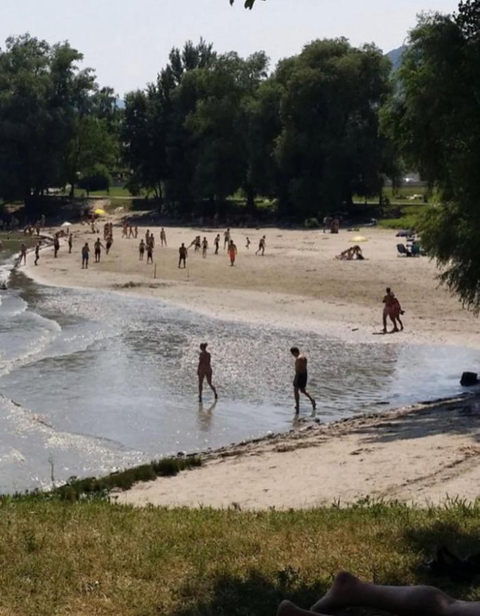 Appartamento Haus-Donau In Der Wachau Aggsbach Esterno foto